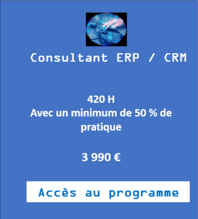 Consultant ERP / CRM